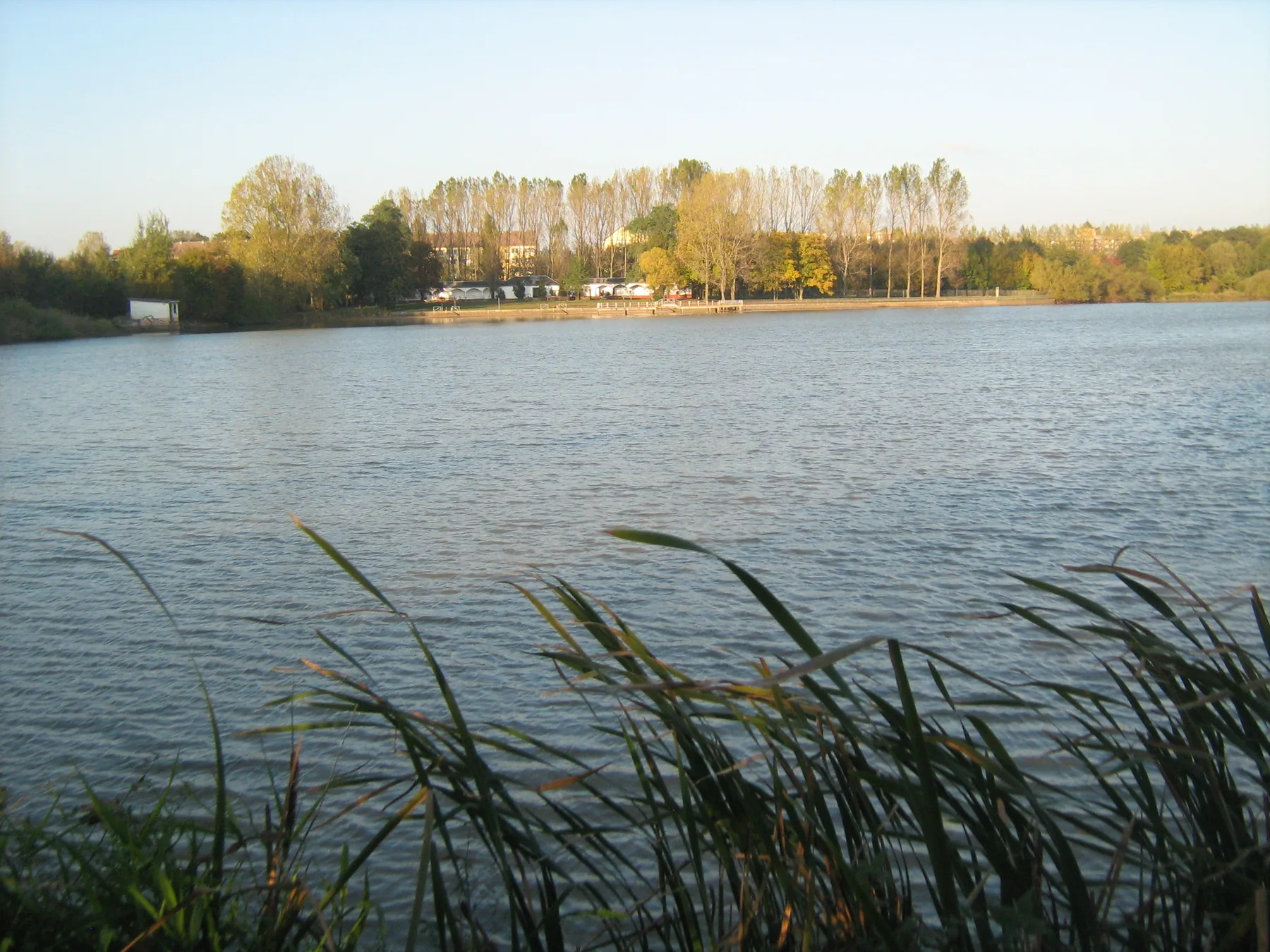 Weite Wasserfläche des Großen Teichs mit Uferbewuchs