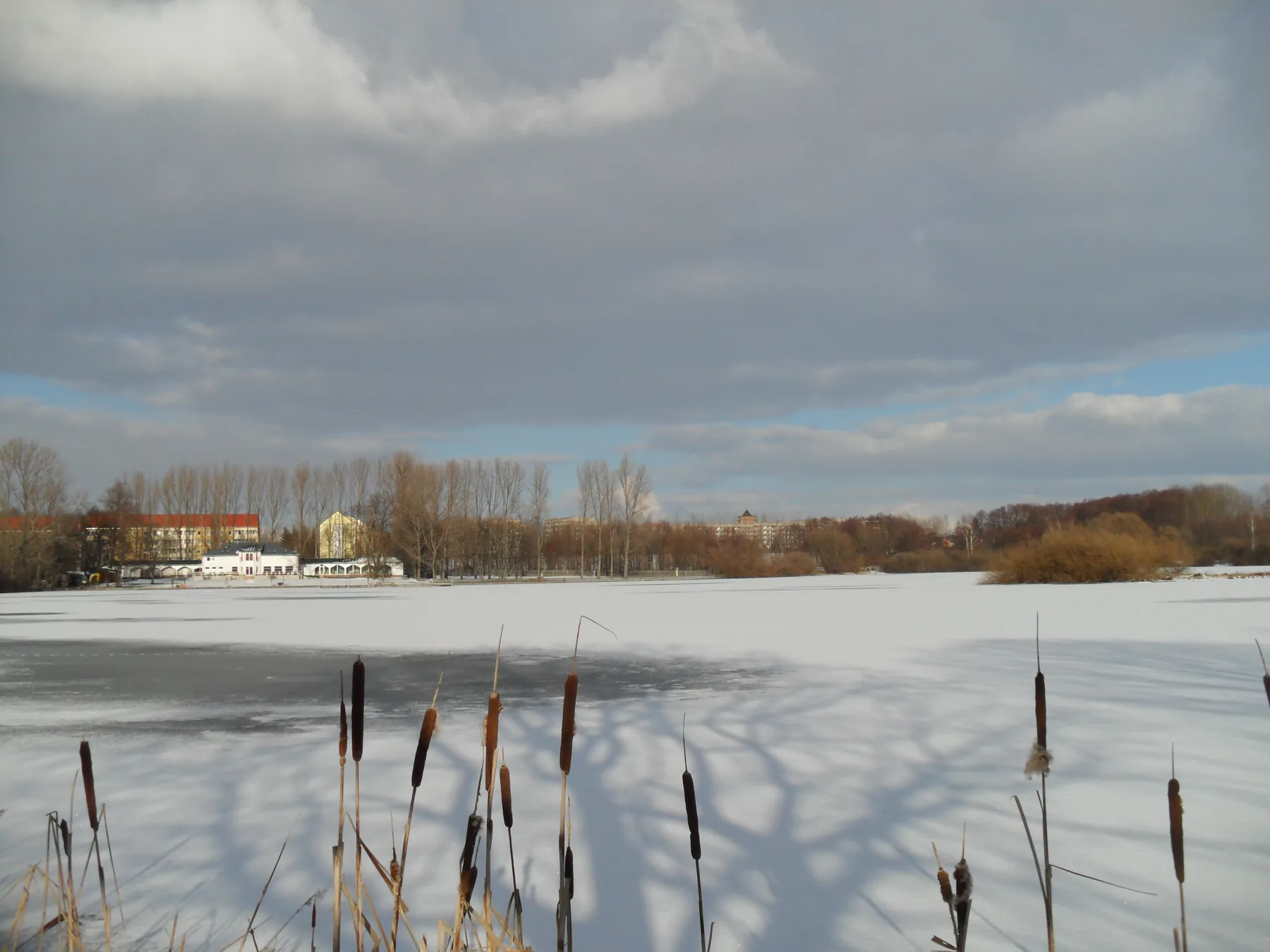 Verschneite Uferzone mit Schilf und Gebäude am Horizont