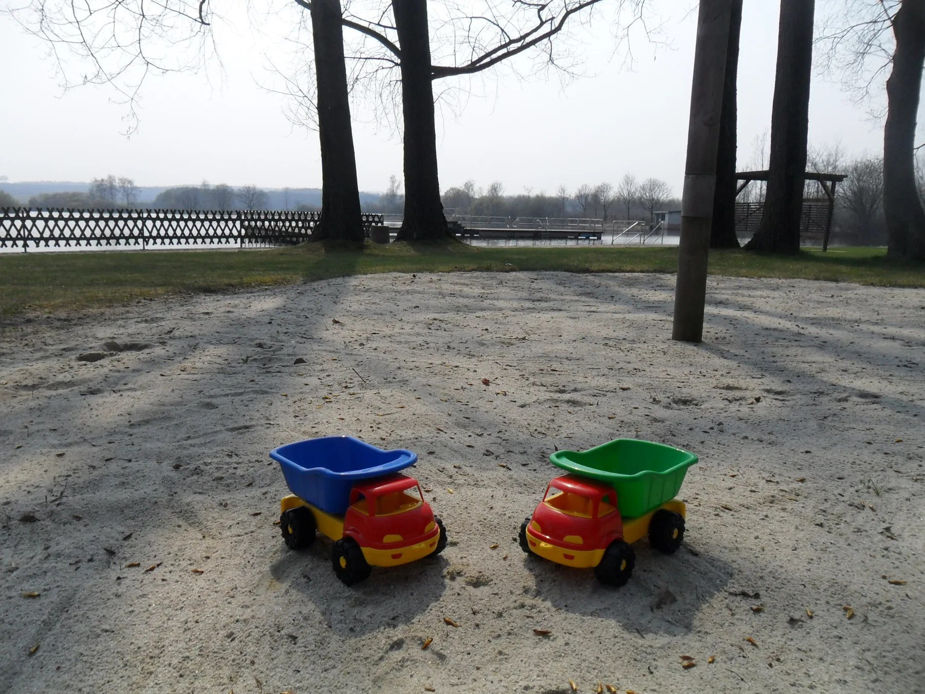 Zwei Spielzeugautos im Sand unter kahlen Bäumen