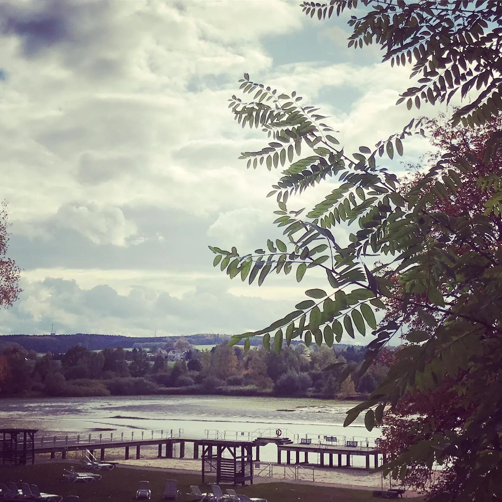 Blick durch Zweige auf Steg und Teich